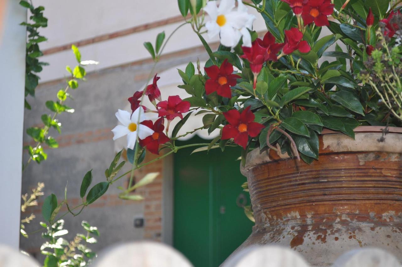A Marina Apartment Monforte San Giorgio Marina Exterior foto